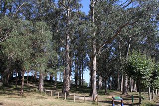 pontejos I 016