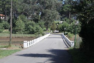 pontejos I 020