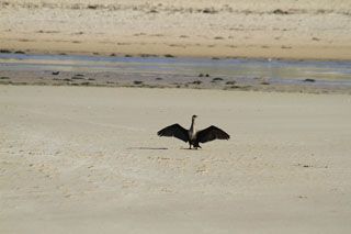 IMG 9321