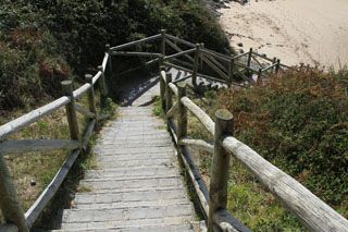 IMG 9364