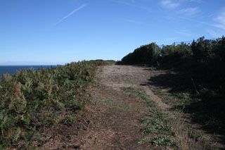 IMG 9370