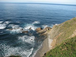 2013 01 casacamelias 003