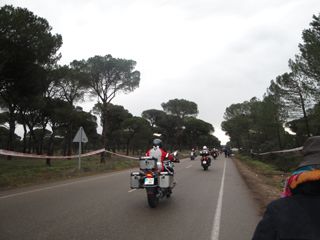 2013 01 pinguinos 001