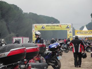 2013 01 pinguinos 002