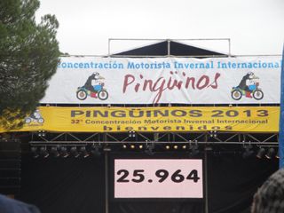 2013 01 pinguinos 003