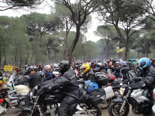 2013 01 pinguinos 005