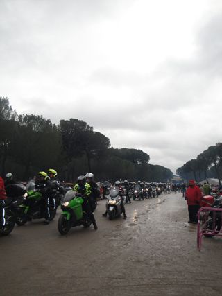 2013 01 pinguinos 010