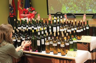 cata cifa 2013 002