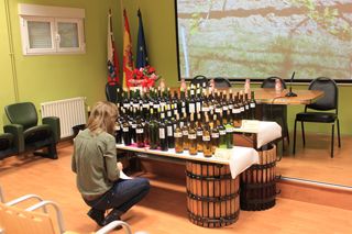cata cifa 2013 003