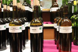 cata cifa 2013 006