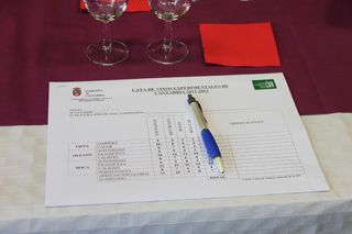 cata cifa 2013 008