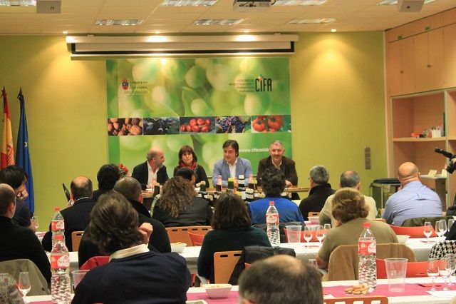 cata cifa 2013 009