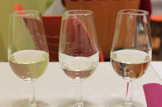 cata cifa 2013 012
