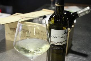 catas 2013 sitio 004
