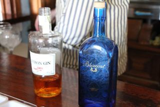 2013 05 solar gin ton 006