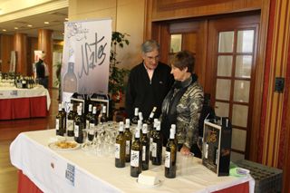 IMG 4441
