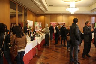 IMG 4511