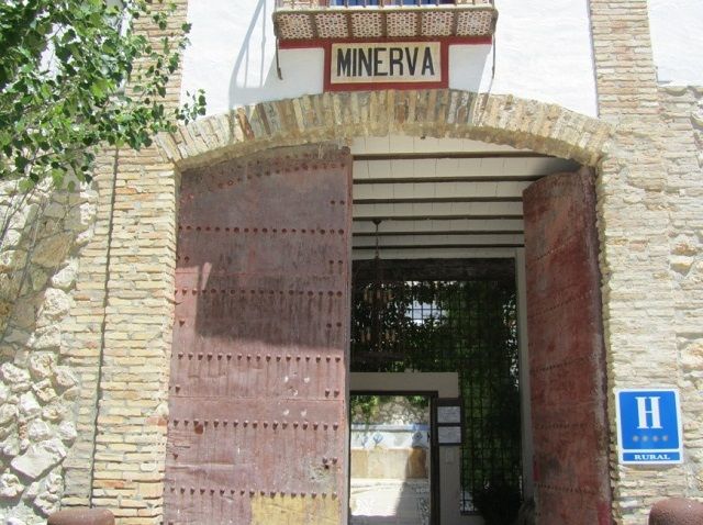 2013 06 minerva 001