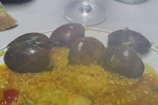 2013 07 oyambre 010