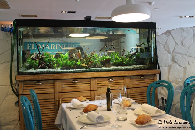2014 05 marinero 001