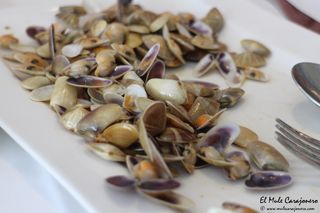 2014 06 flor miranda 010
