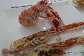 2014 06 flor miranda 014