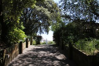 IMG 6030