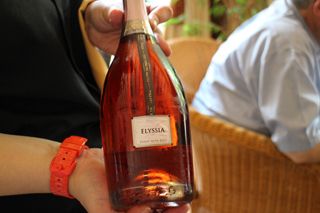 maridaje freixenet guevara 006