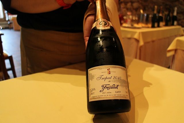 maridaje freixenet guevara 021