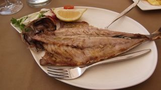 2013 08 huerta sines 014