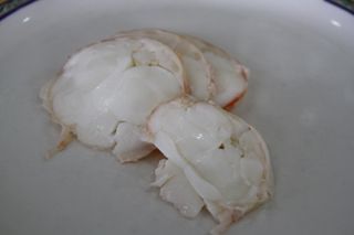 2013 astuy langosta 001 021