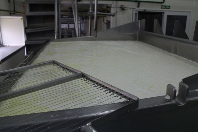 2013 ruiz francos 014 640