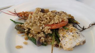 2013 09 pesca comida chicote 020