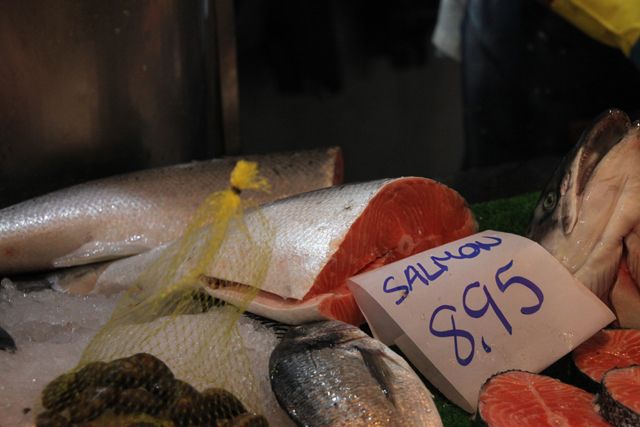 2013 11 01 salmon 003 640