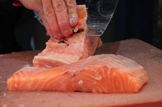 2013 11 01 salmon 009