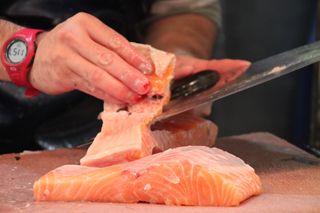 2013 11 01 salmon 010