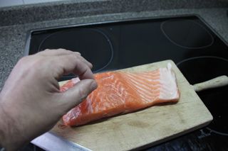 2013 11 02 salmon 003