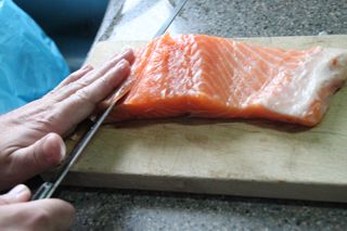 2013 11 02 salmon 004