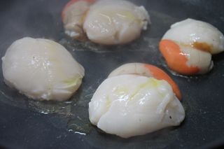 2013 11 02 salmon 010