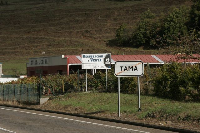 2013 orulisa 0 empresa 001