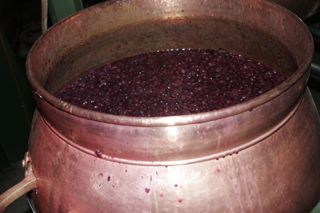 2013 orulisa 2 prepara 006