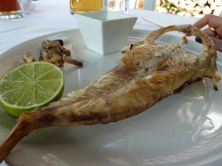 2012 03 yerbita 014 V