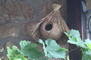 2012 07 terbita 01 001