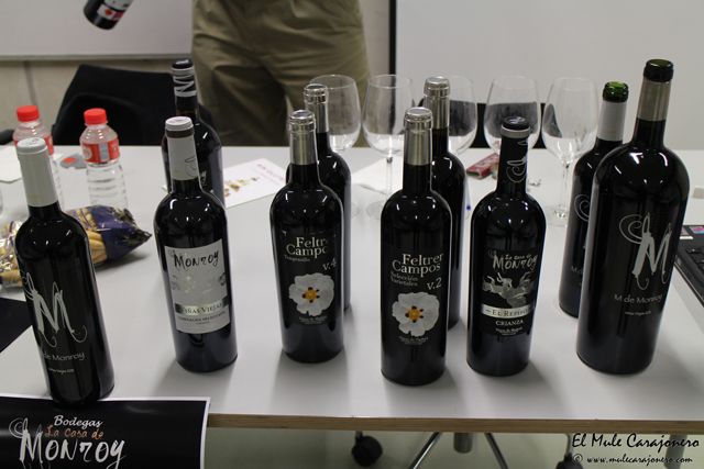 2014 01 cata monroy 003