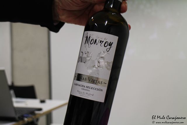 2014 01 cata monroy 013