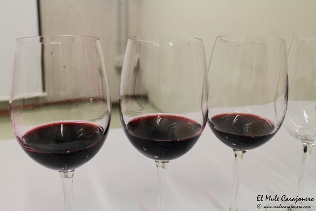 2014 01 cata monroy 015