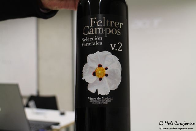 2014 01 cata monroy 016