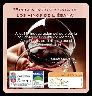 2014 01 cata experimentales presentacion