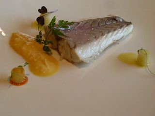 2011 12 02 solana 022