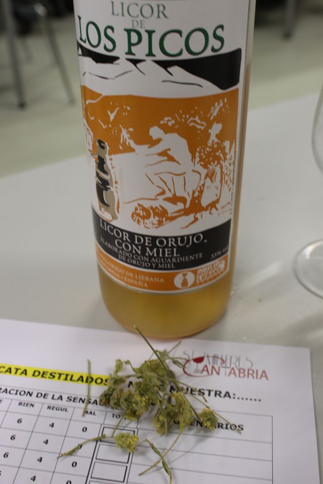 2014 03 cata picos 007